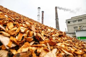 Biomass: The Not-So-Clean Energy Solution Destroying Our Forests