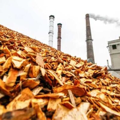 Biomass: The Not-So-Clean Energy Solution Destroying Our Forests