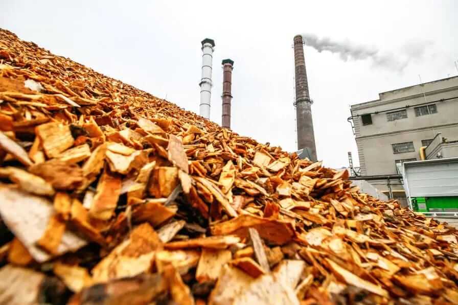 Biomass: The Not-So-Clean Energy Solution Destroying Our Forests